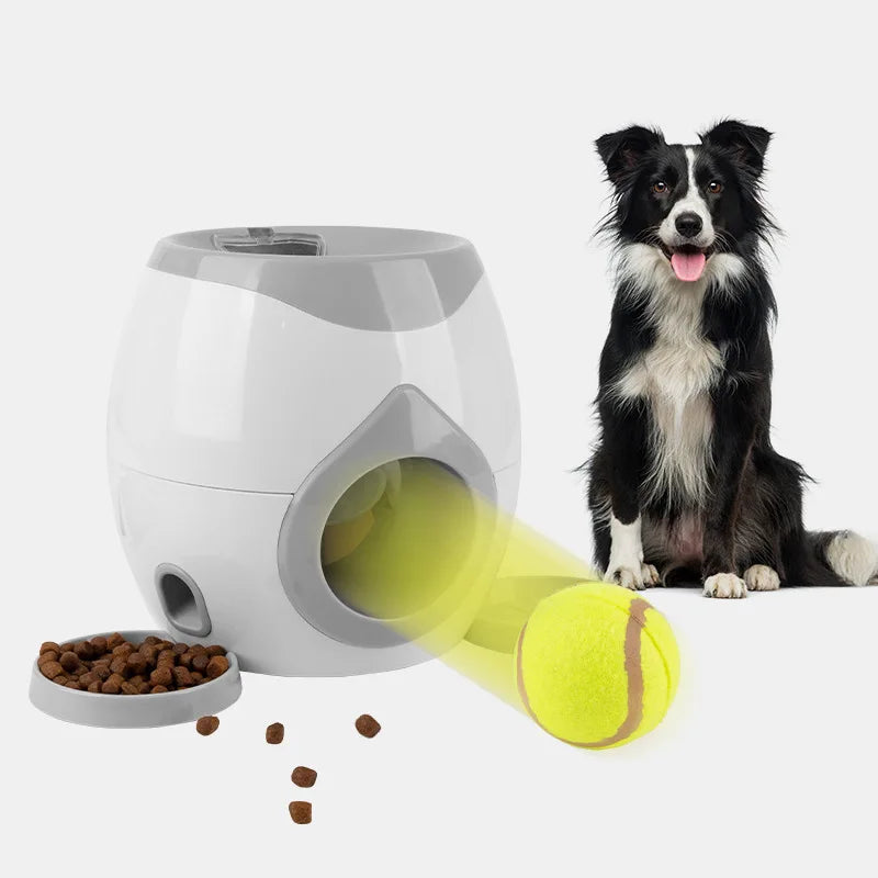 Automatischer Hunde-Ballwerfer – Interaktives Apportierspielzeug