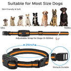 RS2 Hunde-Trainingshalsband mit Fernbedienung – 1000 m, wasserdicht