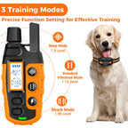 RS2 Hunde-Trainingshalsband mit Fernbedienung – 1000 m, wasserdicht