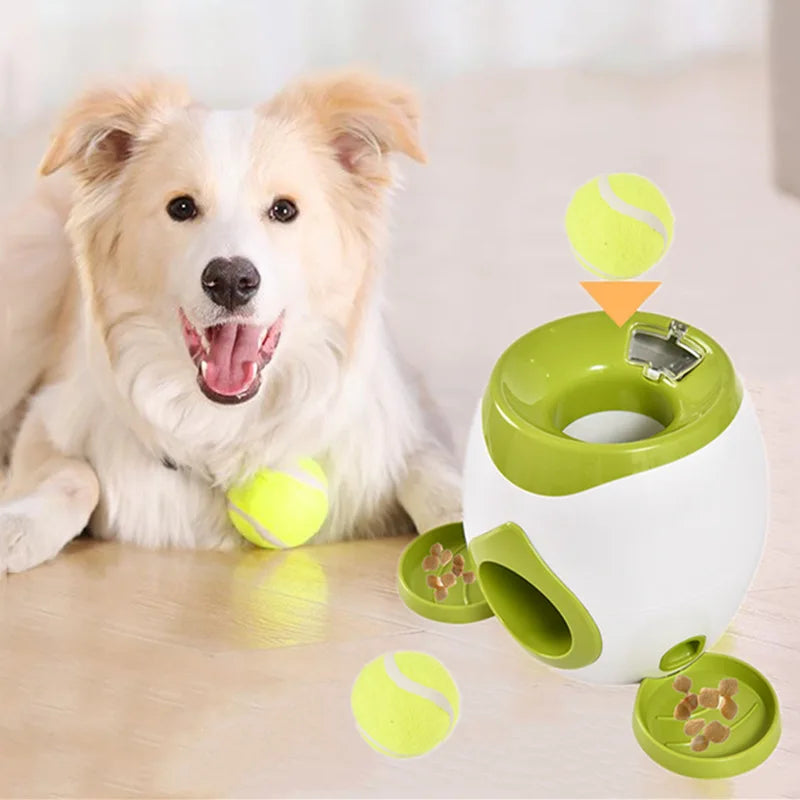 Automatischer Hunde-Ballwerfer – Interaktives Apportierspielzeug