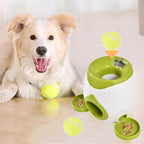 Automatischer Hunde-Ballwerfer – Interaktives Apportierspielzeug