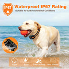 RS2 Hunde-Trainingshalsband mit Fernbedienung – 1000 m, wasserdicht