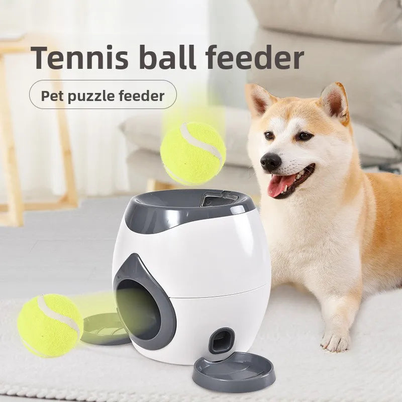 Automatischer Hunde-Ballwerfer – Interaktives Apportierspielzeug
